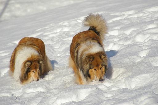 Fotos f. Homepage Galerie 033